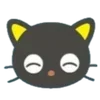 🐱