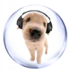 🐶