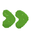 🌿