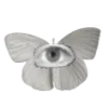 🦋