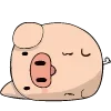 🐷