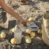 🍋
