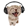 😸