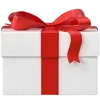 🎁