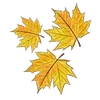 🍁