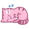 😴
