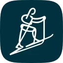 🎿