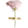 🌹