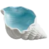 🐚