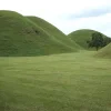 🤩