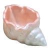 🐚