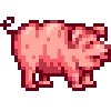 🐷