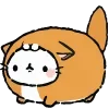 🐱