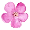 🌸