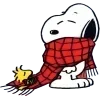 🧣