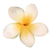 🌼