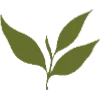 🌿
