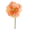 🌹
