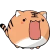 🐯