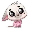 🐰