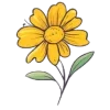 🌼