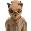 🦊