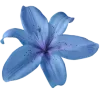 🔵