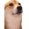 🕺