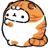 🐱