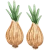 🧅