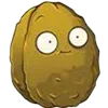 🌰