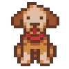 🐶