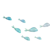 🐟