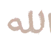 🤎