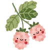 🍒