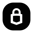 🔒