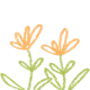 🌼