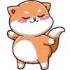 🐱