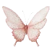 🦋