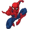 🕷
