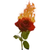 🥀