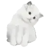 🐈‍⬛