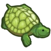 🐢