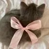 🎀