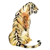 🐅