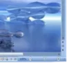 🤩