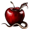 🍎
