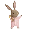 🐰