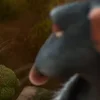 😏