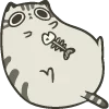 🐱